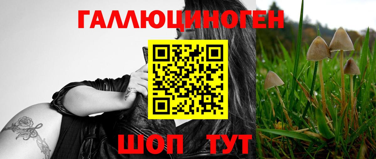 Псилоцибиновые грибы Magic Shrooms Тольятти