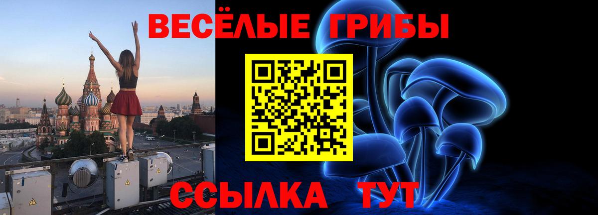 Тольятти  Галлюциногенные грибы Psilocybe  купить  сайты  Вход с VPN 